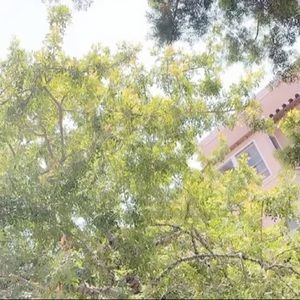 Meet your Posher, Ashely